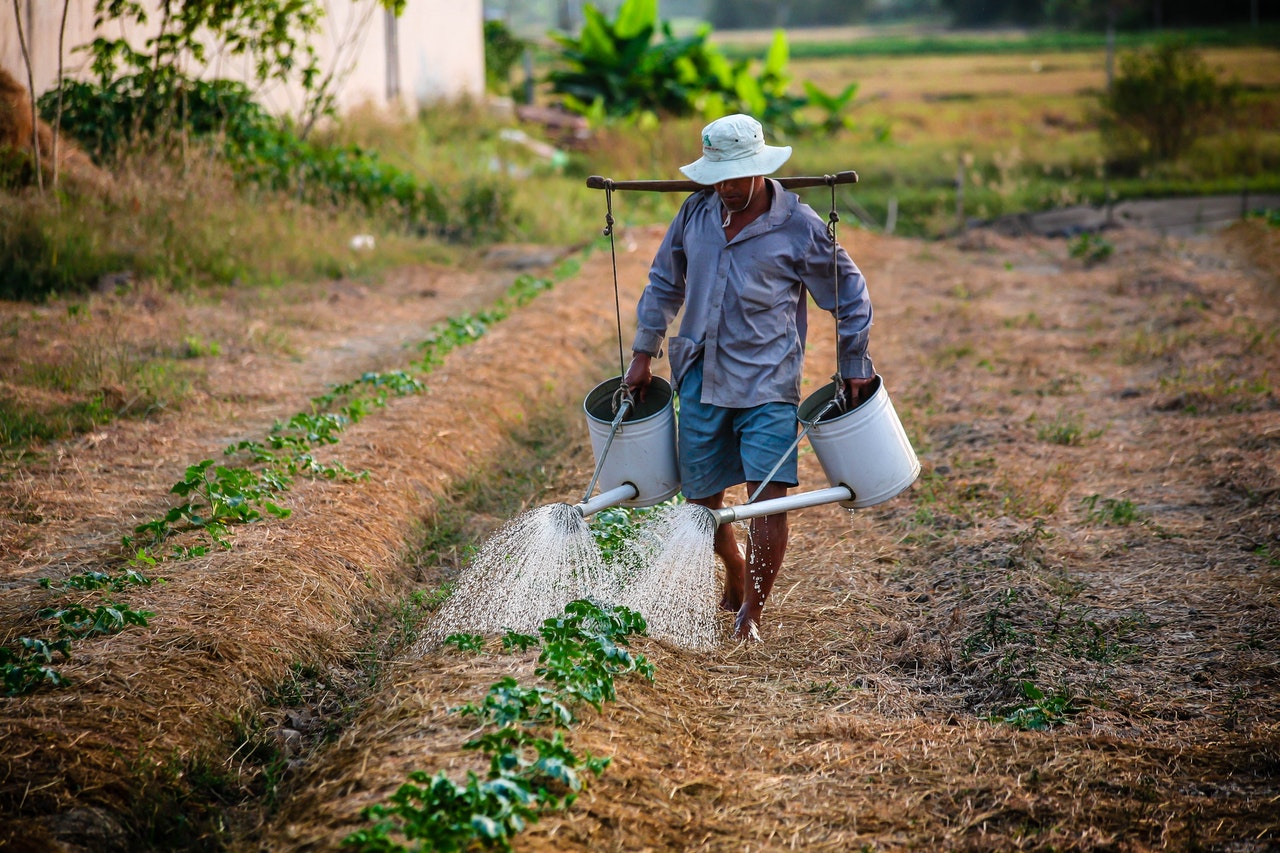 5 страни, в които селското стопанство е основен работодател