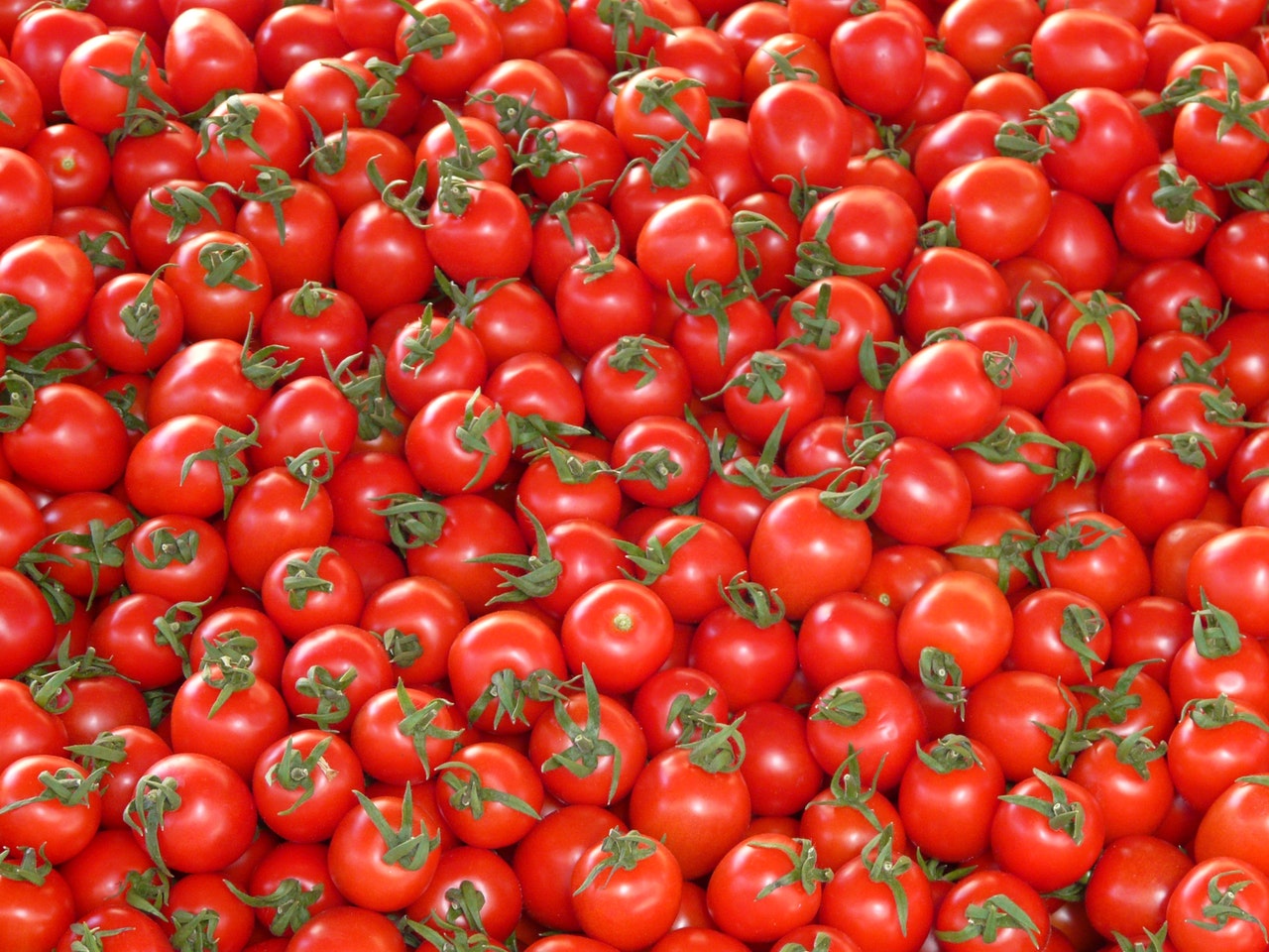 Кои домати са най-продаваните?